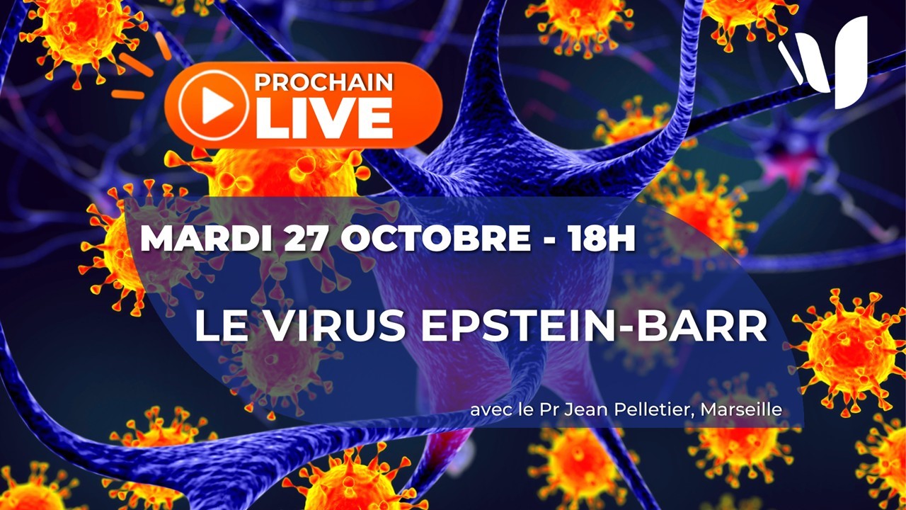 LIVE FRANCE SEP mardi 27 octobre 2026 à 18h